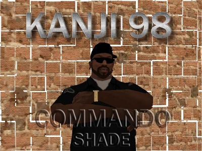 Commando Shade Glasses